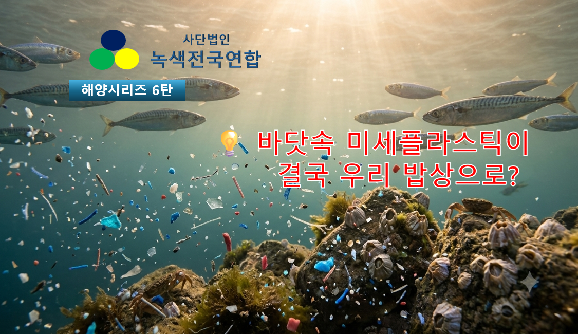 [해양 시리즈 6탄] 미세플라스틱이 해양 생태계와 인체에 미치는 영향