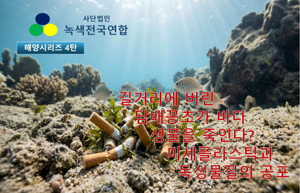 [해양 시리즈 4탄] 길거리에 버린 담배꽁초가 바다 생물을 죽인다? 미세플라스틱과 독성물질의 공포