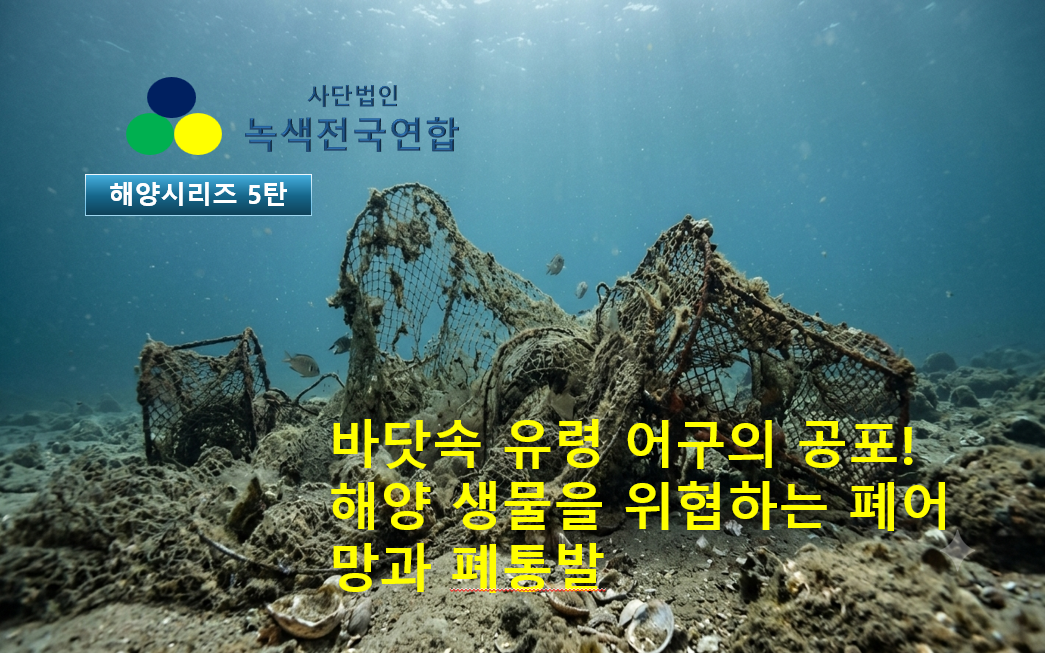[해양 시리즈 5탄] 바닷속 유령 어구의 공포! 해양 생물을 위협하는 폐어망과 폐통발