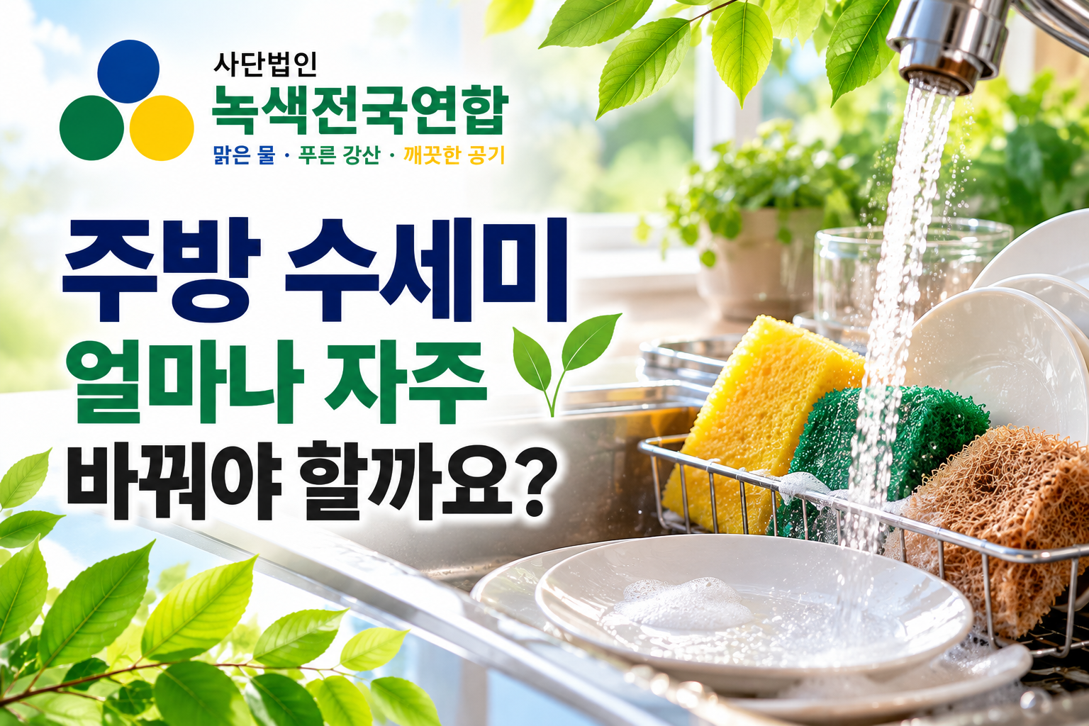 주방 수세미, 얼마나 자주 바꿔야 할까요? 오래 쓰면 더 친환경적일까요?